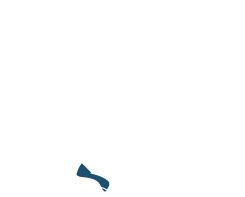 Tavares Insurance Services Logo